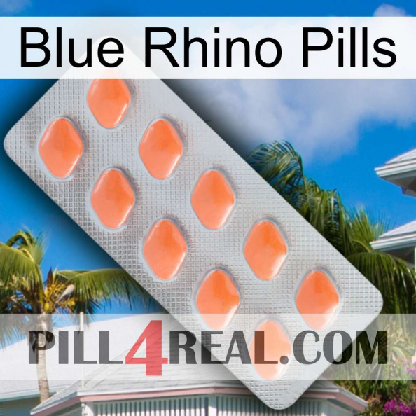 Blue Rhino Pills 26.jpg